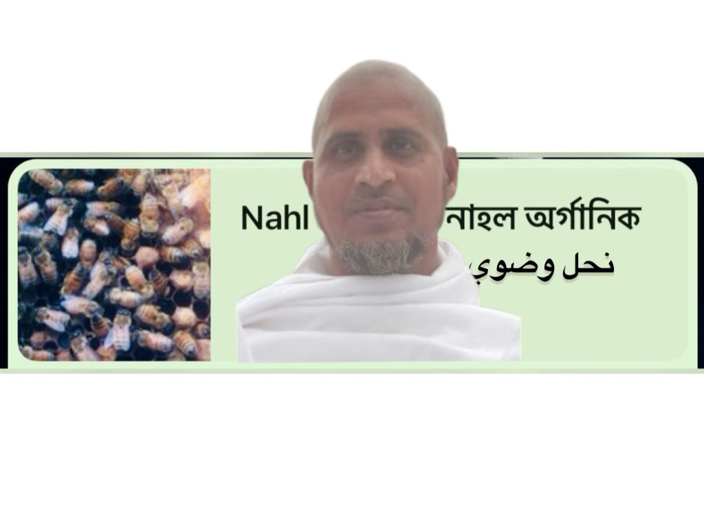 নাদির আহমদ- মদিনা&nbsp;প্রতিনিধি